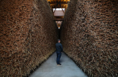 2024 Year in Review: Unframed