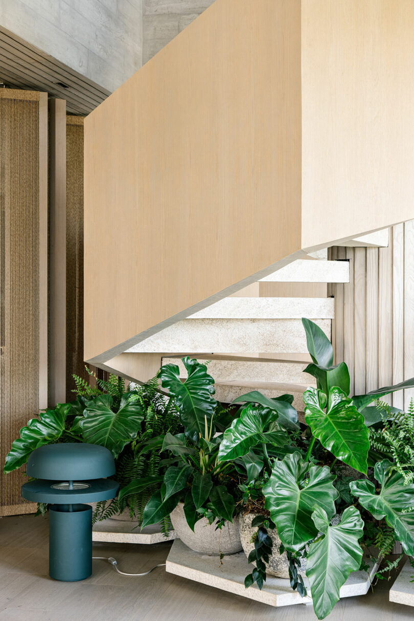 Modern interior with a floating wooden staircase, lush green potted plants beneath, and a teal table lamp on the left side of the image.