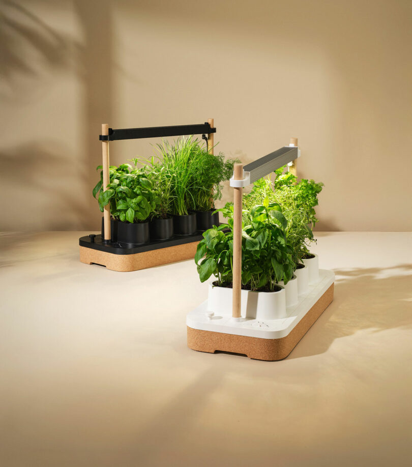 Two tabletop indoor planters with built-in LED grow lights hold several pots of herbs on a neutral background.