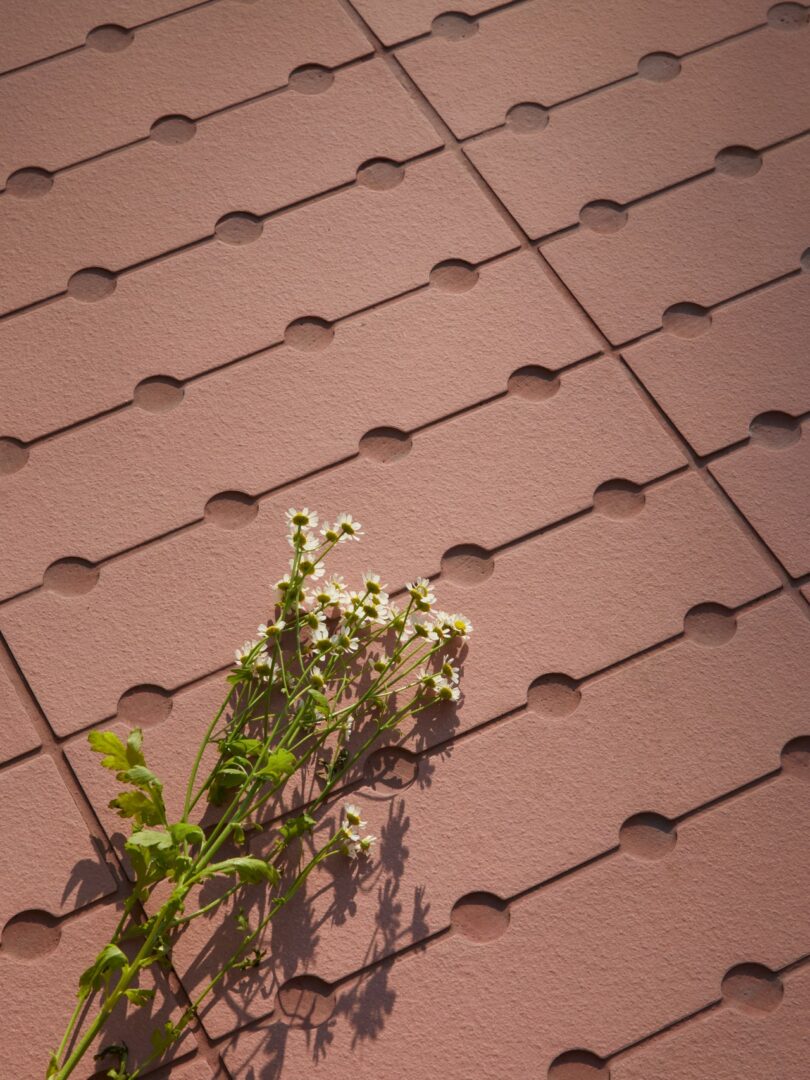 White wildflowers with green stems lie on a textured, pinkish wall with a geometric grid pattern and circular indents