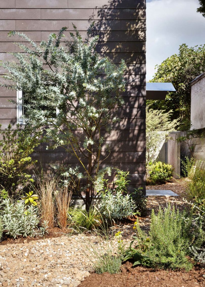 closeup external view of modern home with a planted filled path going beside it
