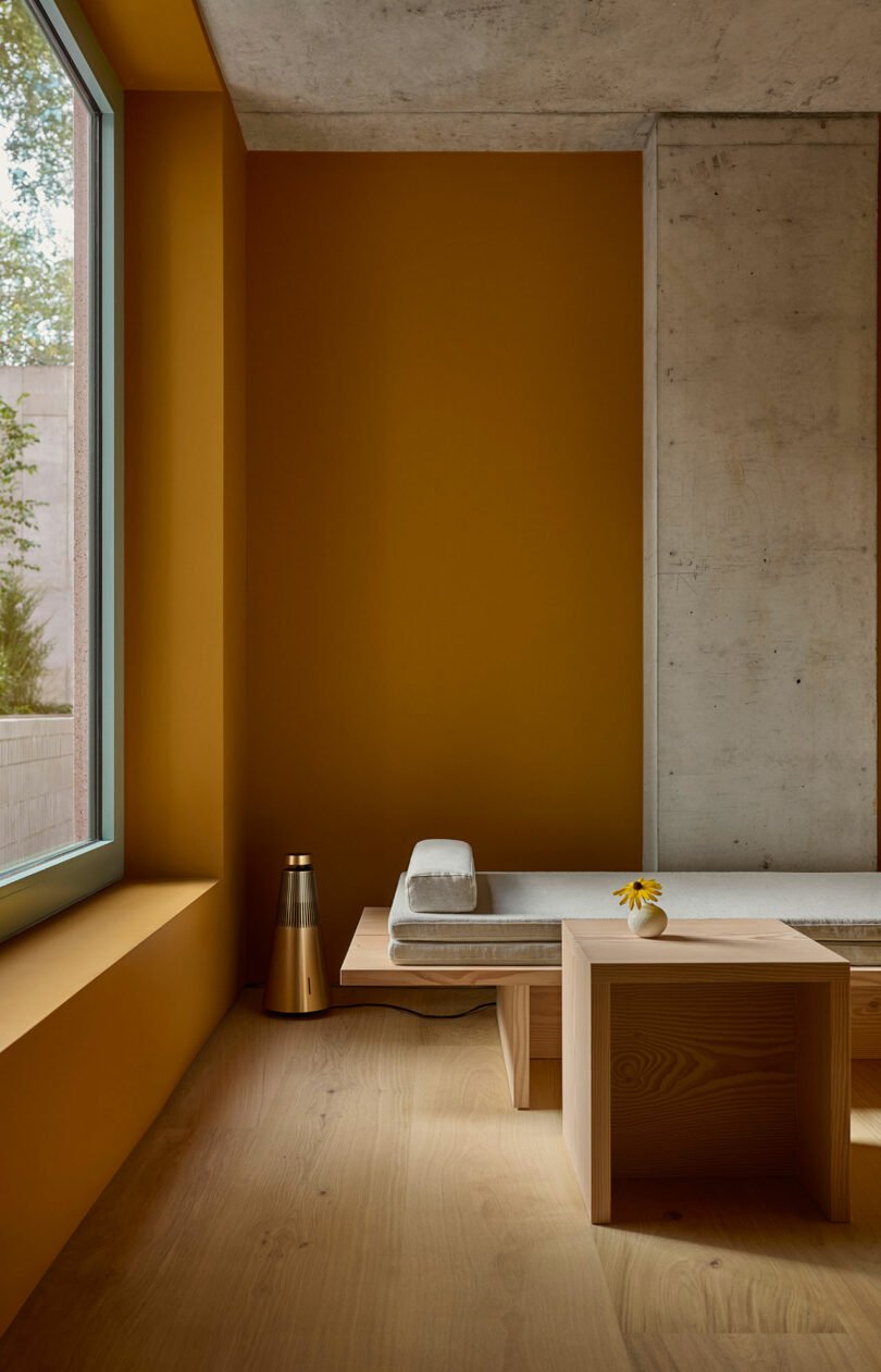 Minimalist room with mustard yellow walls, a concrete accent, wooden bench with cushions, small wooden table, single yellow flower in a vase, and a window with outside view.