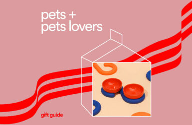 2024 Best Modern Gifts for Pets + Pet Lovers
