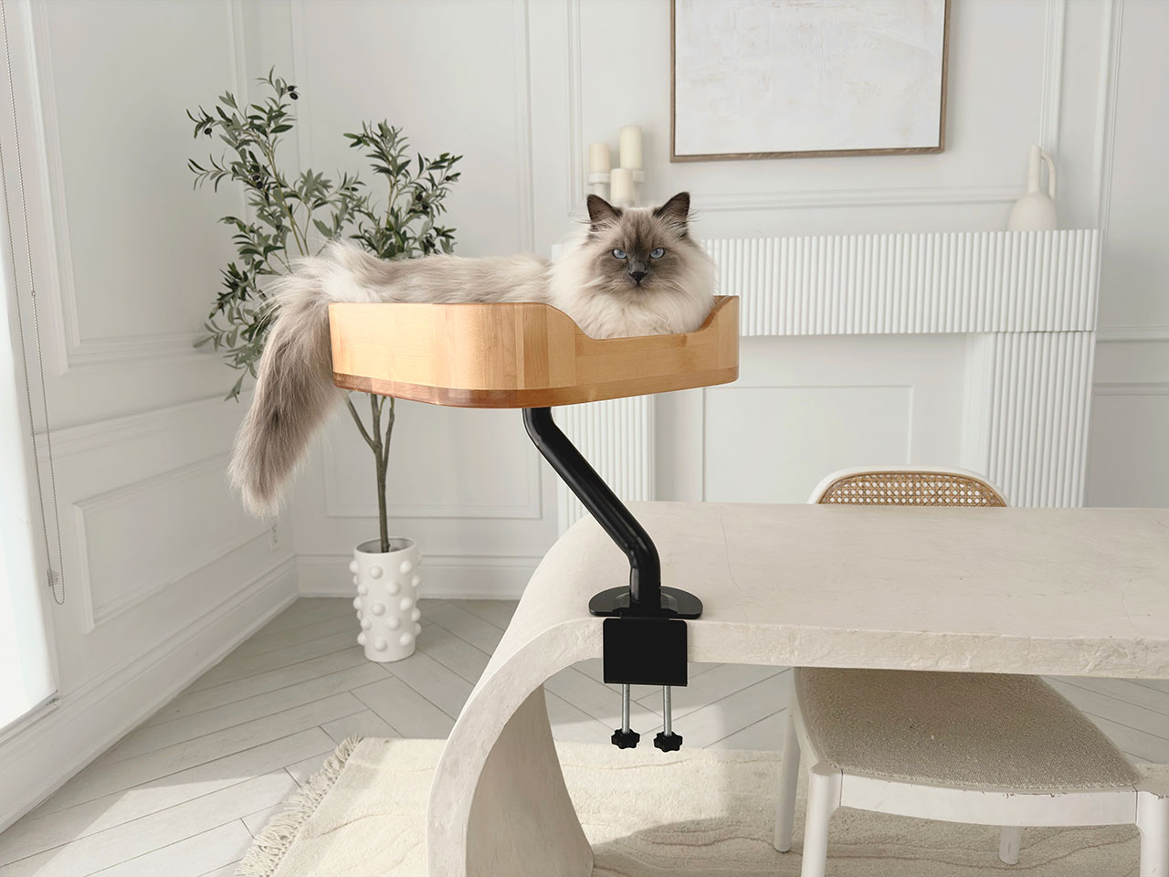 The New Ergo Purrch Is the Perfect Cat Companion for WFH Life