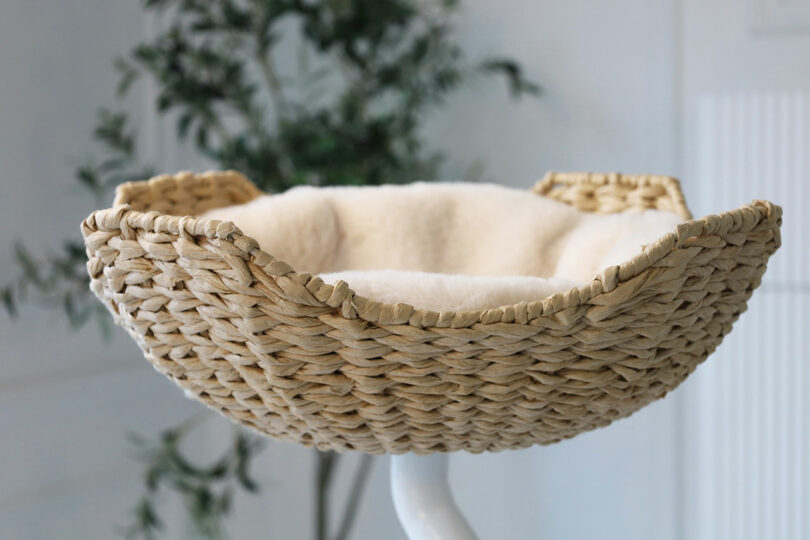 The Ergo Purrch woven wicker pet bed features a soft, cream-colored cushion and is elevated on a white stand, with a leafy plant in the background.