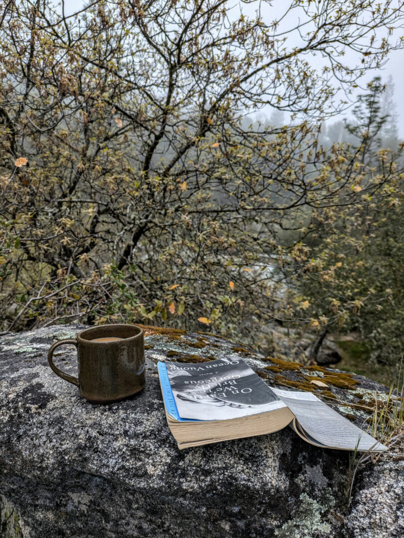 A brown ceramic mug and an open book by Dana Harel rest on a large rock outdoors, with trees and an overcast sky in the background.