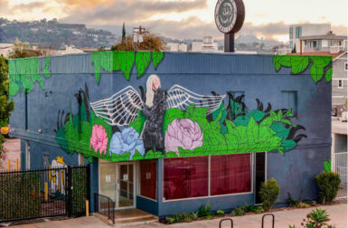 F5: David Kaul Talks Playing Chess, His Records, His Dog Winnie + More