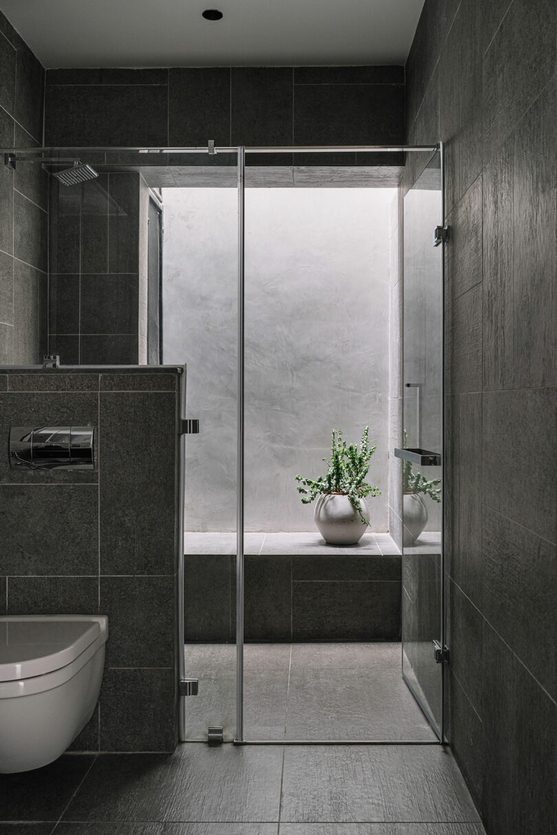 Modern bathroom with dark tiles, glass shower enclosure, wall-mounted toilet, and a potted plant on a ledge near a frosted window.