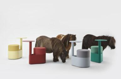 Hold Your Horses – There’s a New Seat Riding Into Your Office