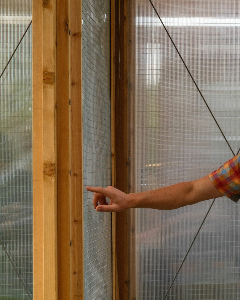 A person wearing a plaid shirt points at a wire mesh and wooden frame structure with translucent panels.