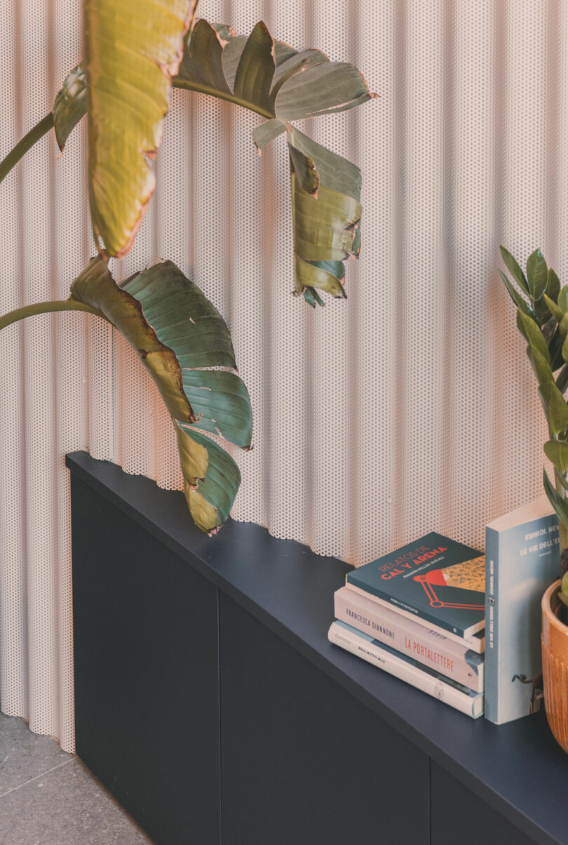 A dark cabinet with potted plants and a small stack of books sits in front of a light-colored, textured wall.