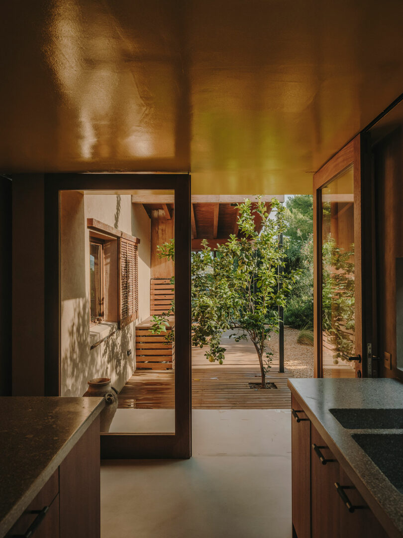 View from a modern kitchen looking out to a patio with a tree, wooden deck, and sunlight filtering through glass doors.