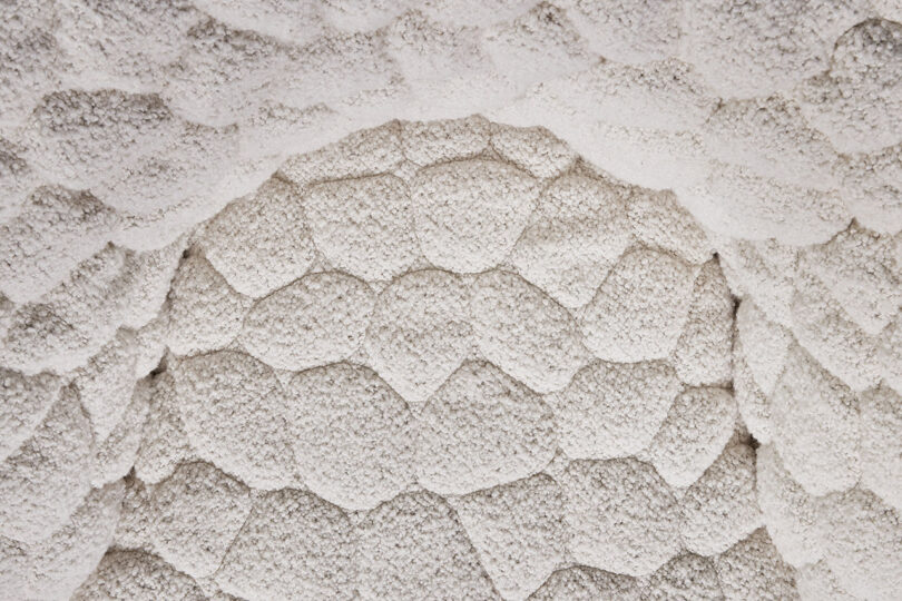 Close-up view of a textured surface with overlapping, scale-like patterns in shades of white and light gray.