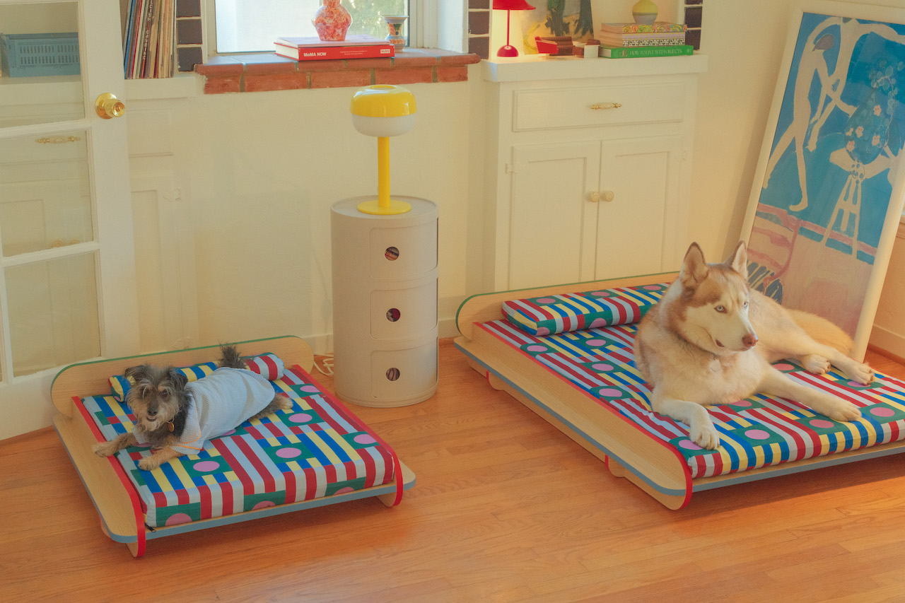 Say No More to Boring Pet Beds With NomoHaus