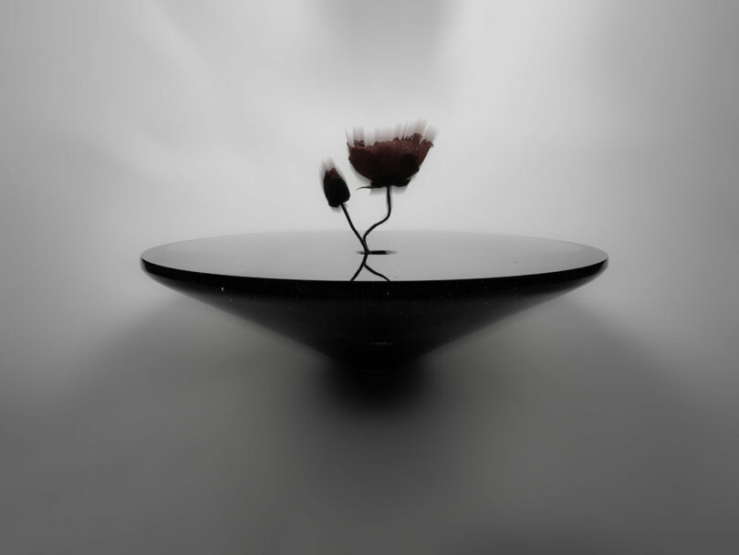 A small flower and bud stand on a reflective, circular surface with a blurred, gray background, evoking the minimalist elegance of Claesson Koivisto Rune.