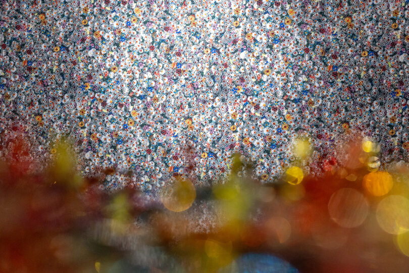 A floral patterned wall with a colorful, blurred foreground of bokeh lights and indistinct shapes.