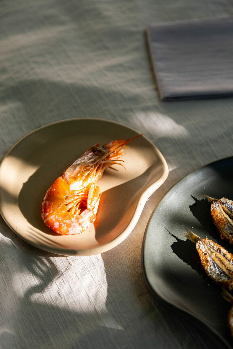 A single cooked shrimp is served on a beige plate beside another plate holding a few pieces of grilled fish, set on a sunlit tablecloth.