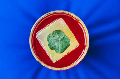 Design-Inspired Cocktails at The West Hollywood EDITION