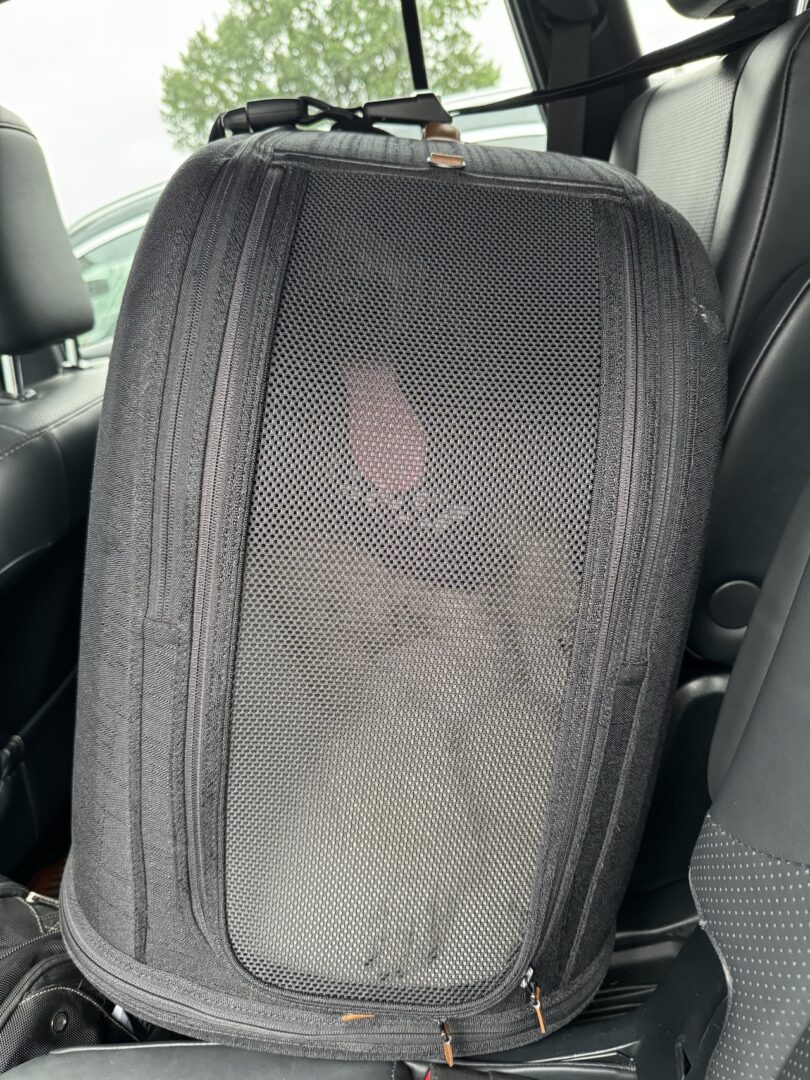 A cat carrier with a mesh front is placed on the back seat of a car. A cat is faintly visible inside the carrier