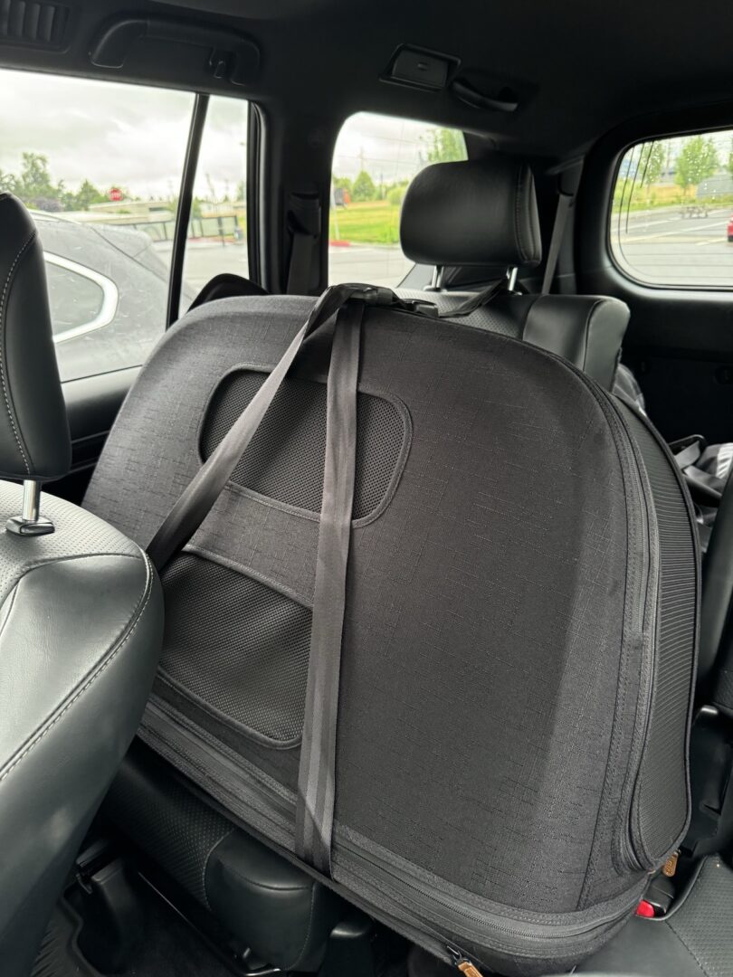 A black carry case secured with seatbelts sits on the backseat of a car
