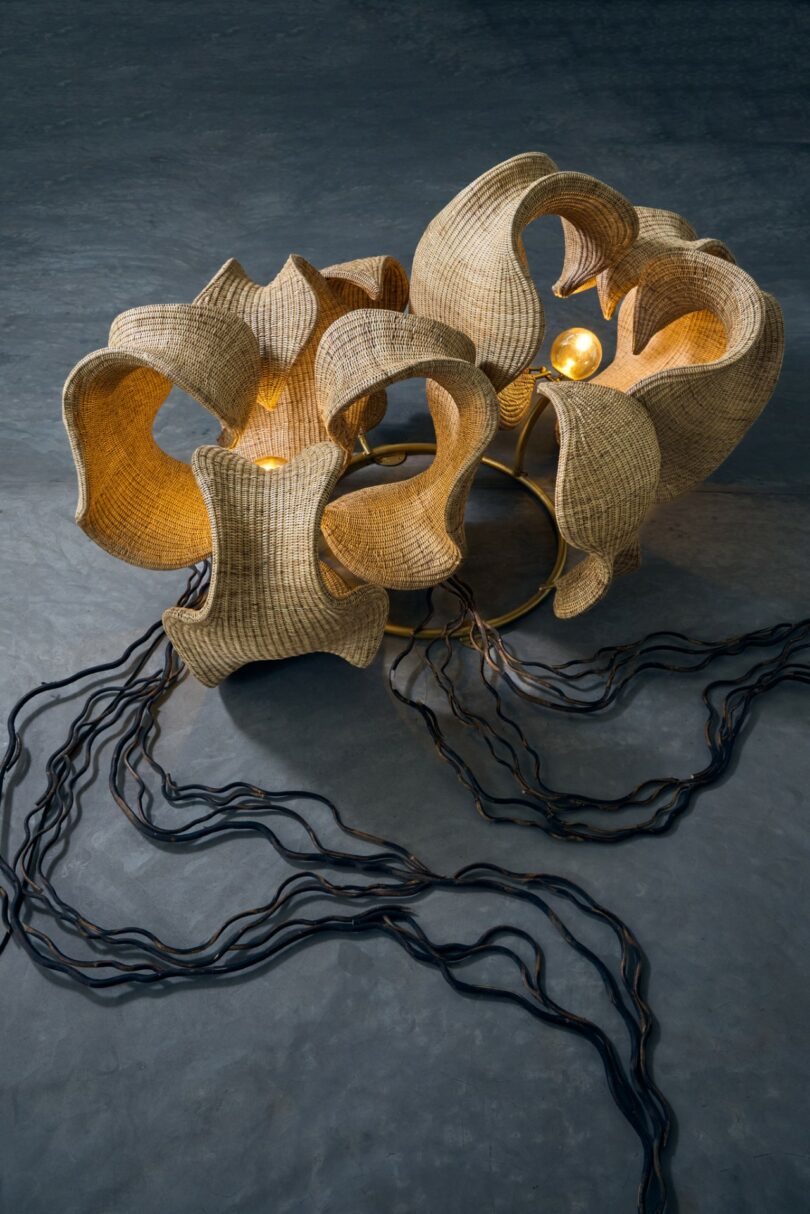 Woven sculptural light fixture with organic, flowing shapes and exposed bulbs, resting on a gray surface with dark cords extending outward