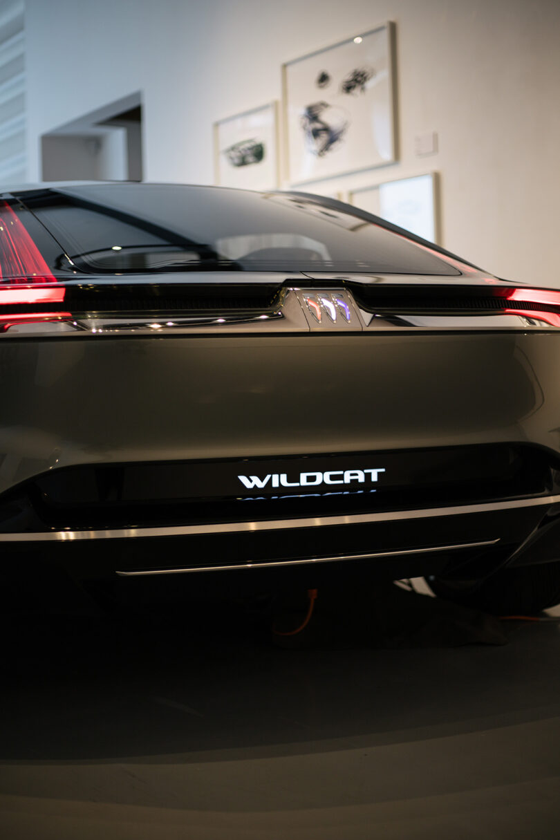 Rear view of a gray car with illuminated "WILDCAT" lettering and badge, parked indoors near framed wall art.